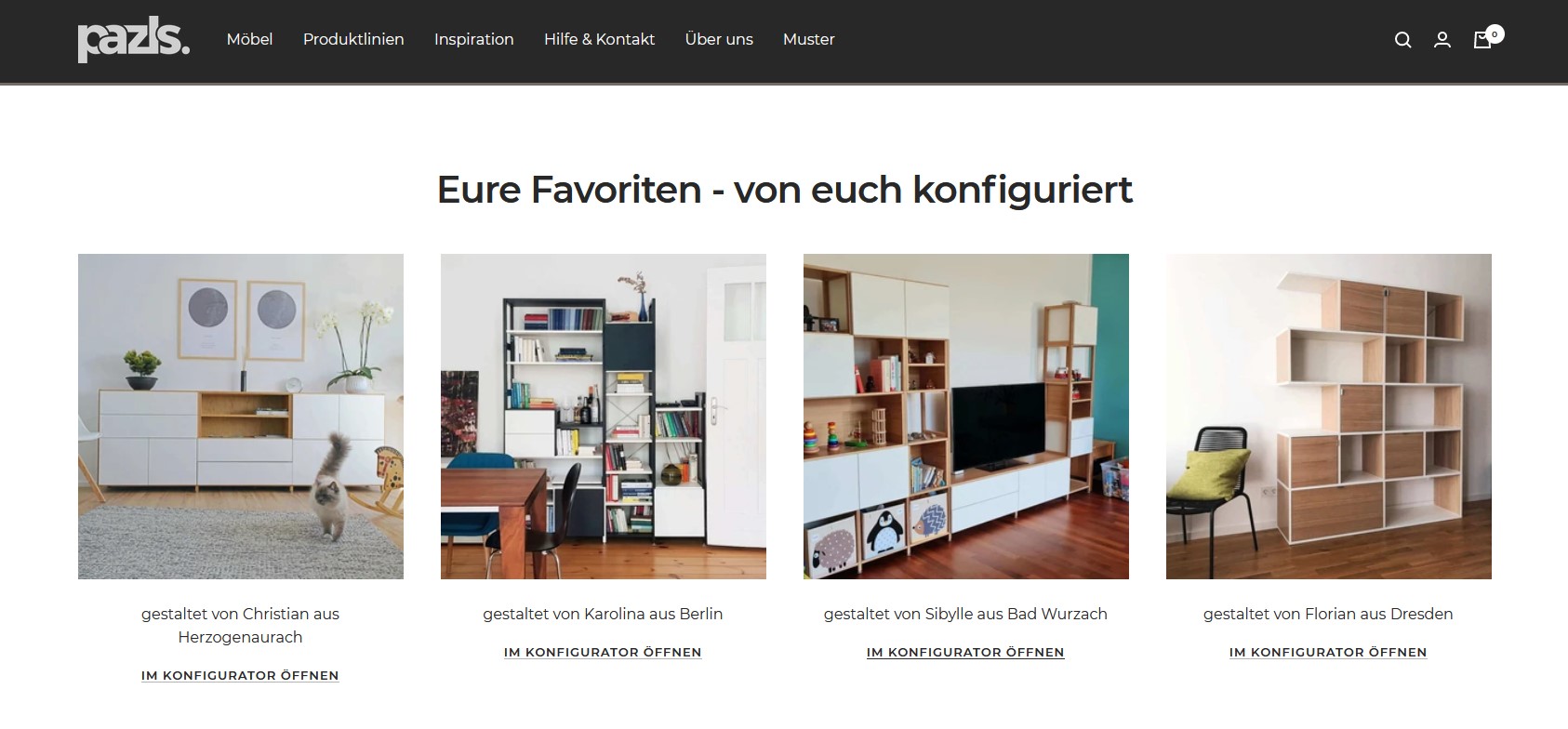 Website Vorschau von Pazls